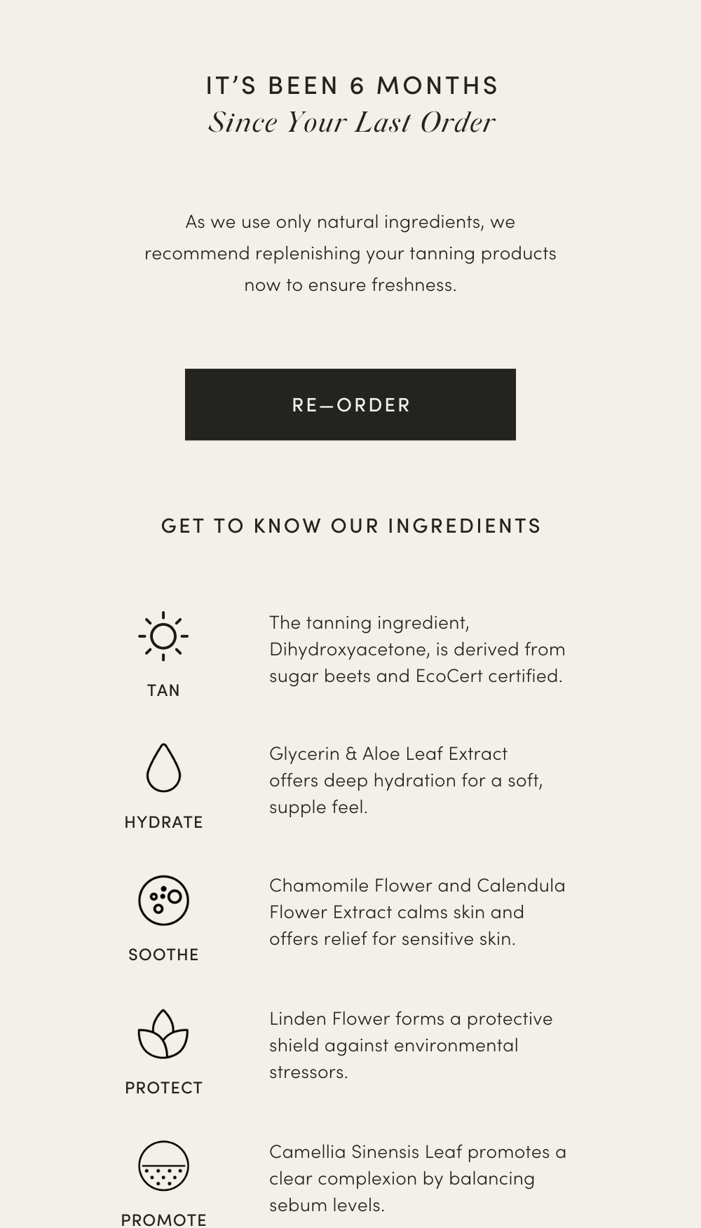 Re-order Tanning Foam