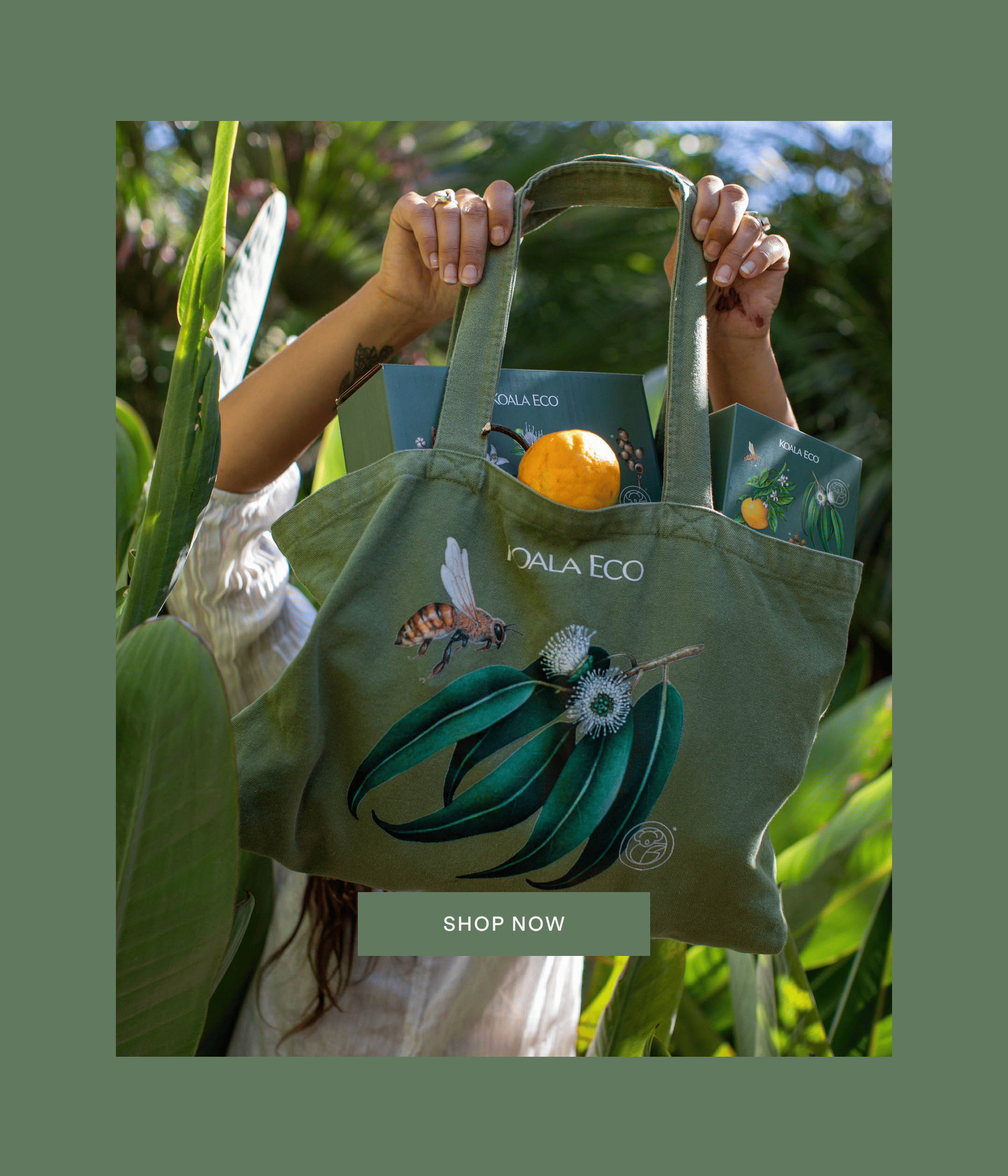 SHOP NOW