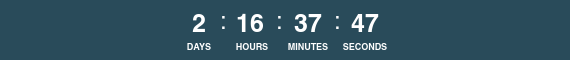 24 Hour Countdown Timer
