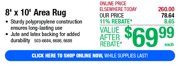 Your Choice 8' x 10' Area Rug - Free Shipping To Store!