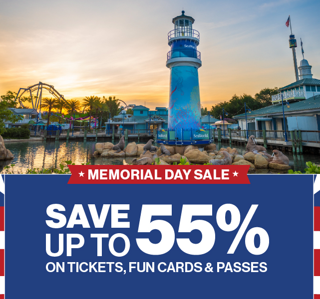 Plan Your Visit