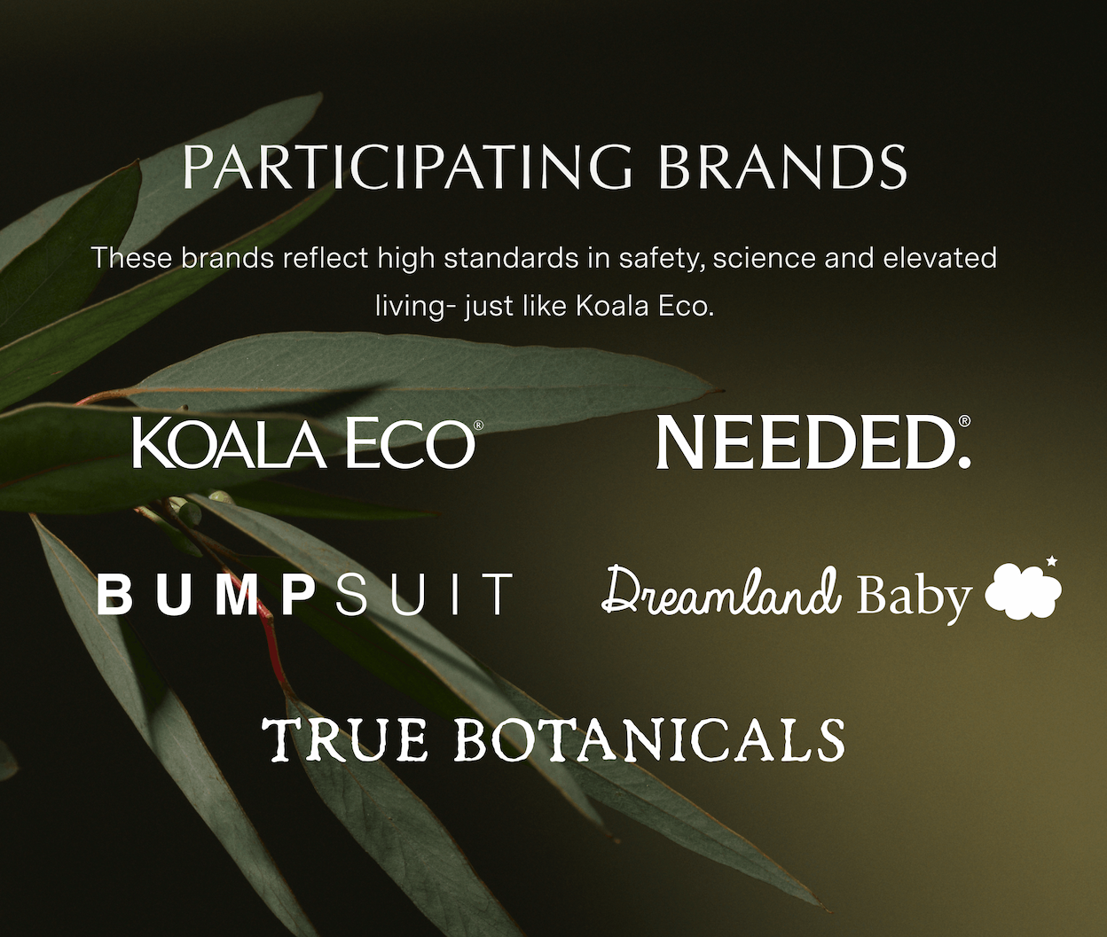 Participating Brands