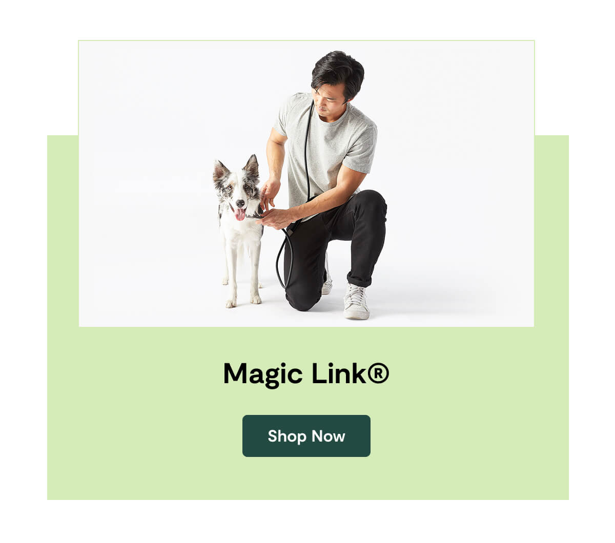 Magic Link®