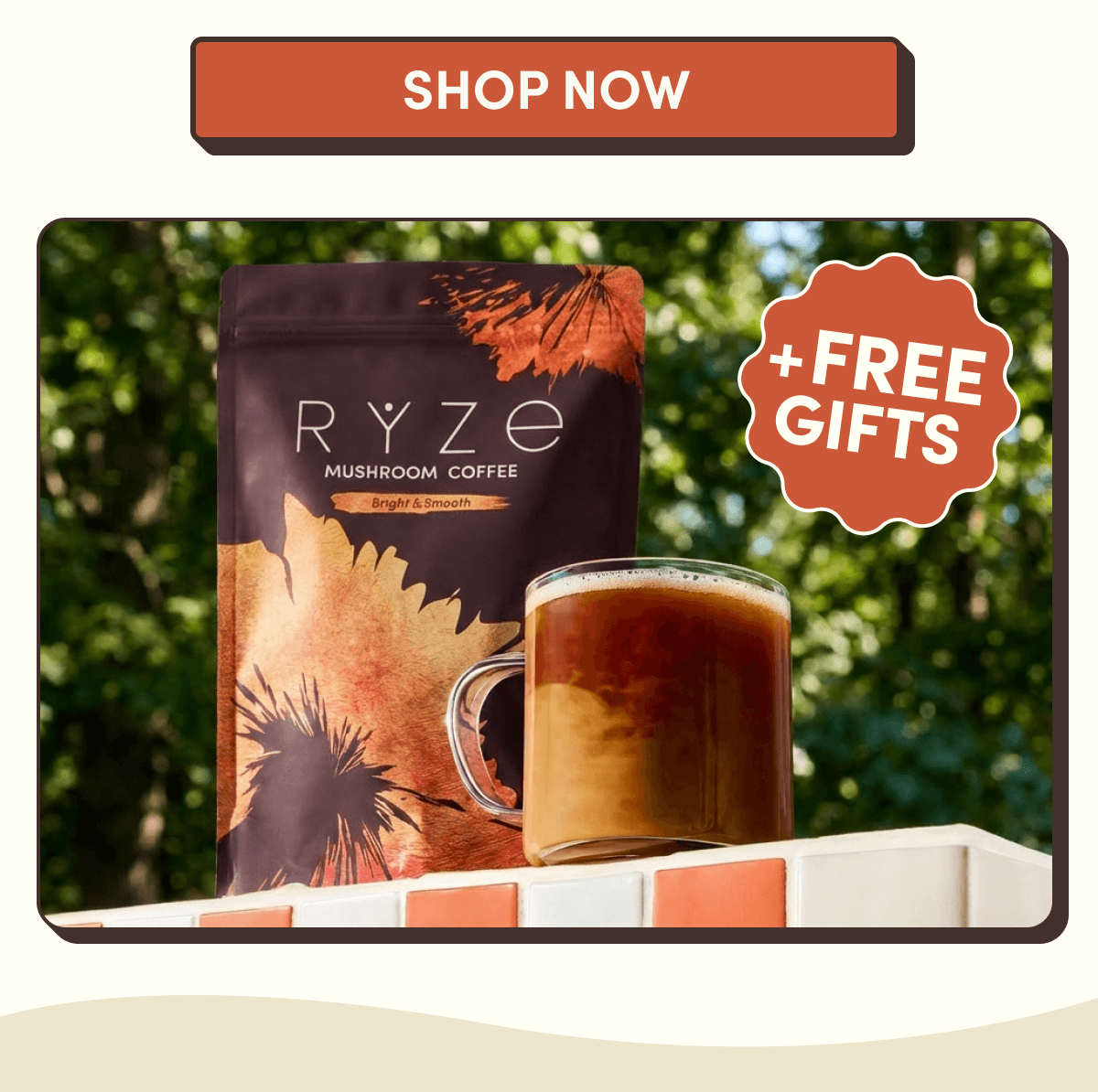 Shop Now | + Free Gifts