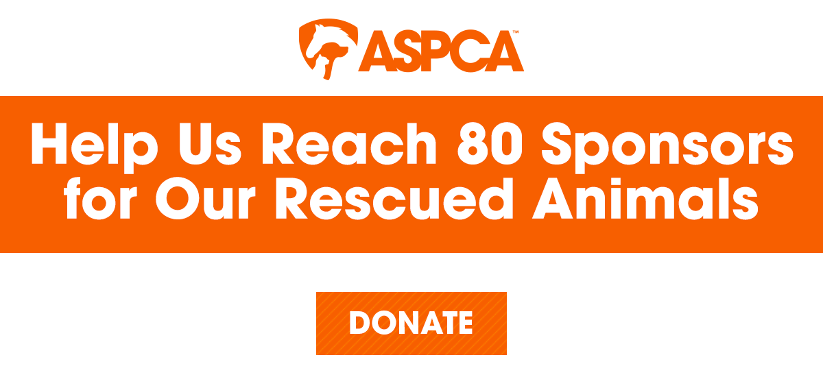 Help Us Reach 80 Sponsors for Our Rescued Animals - Donate