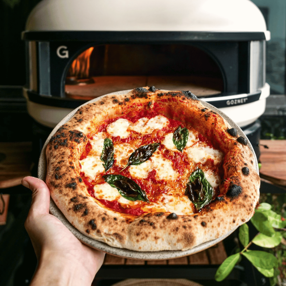 sourdough pizza