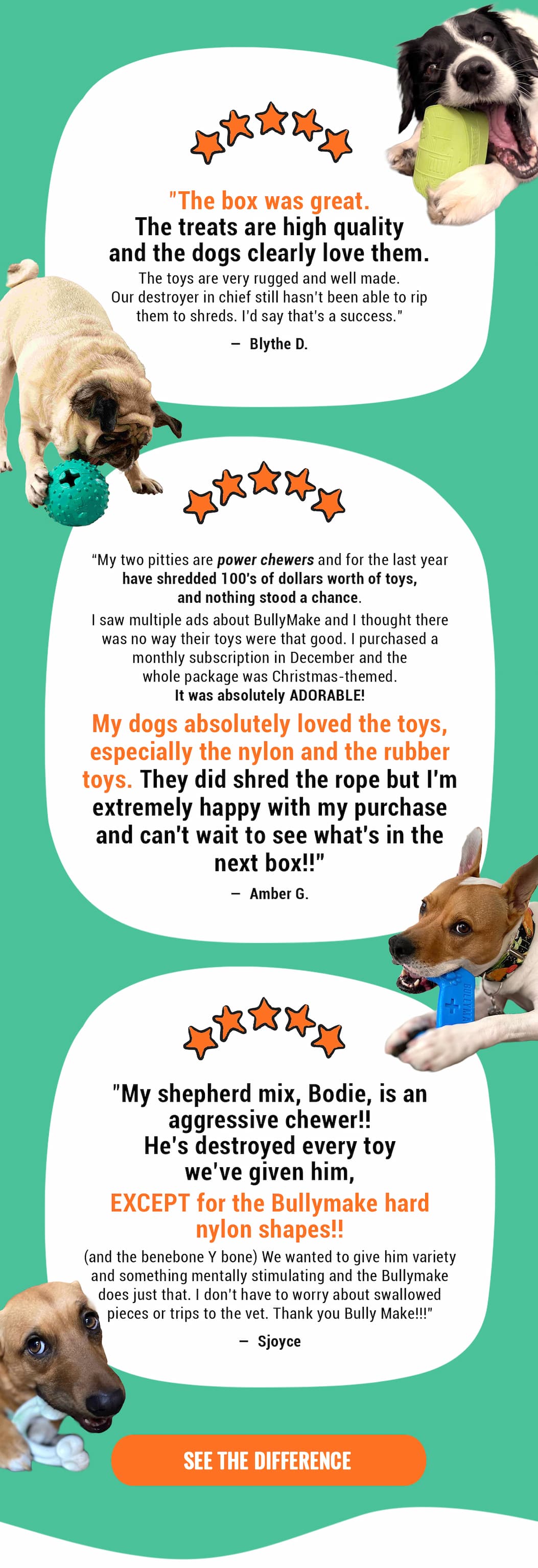 Bullymake Dog Toy Subscription Box
