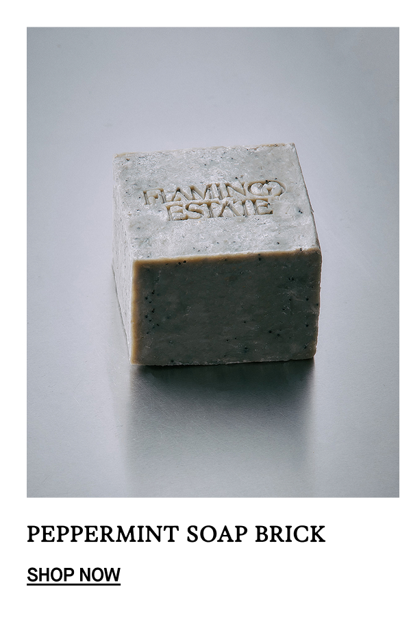 Peppermint Soap Brick