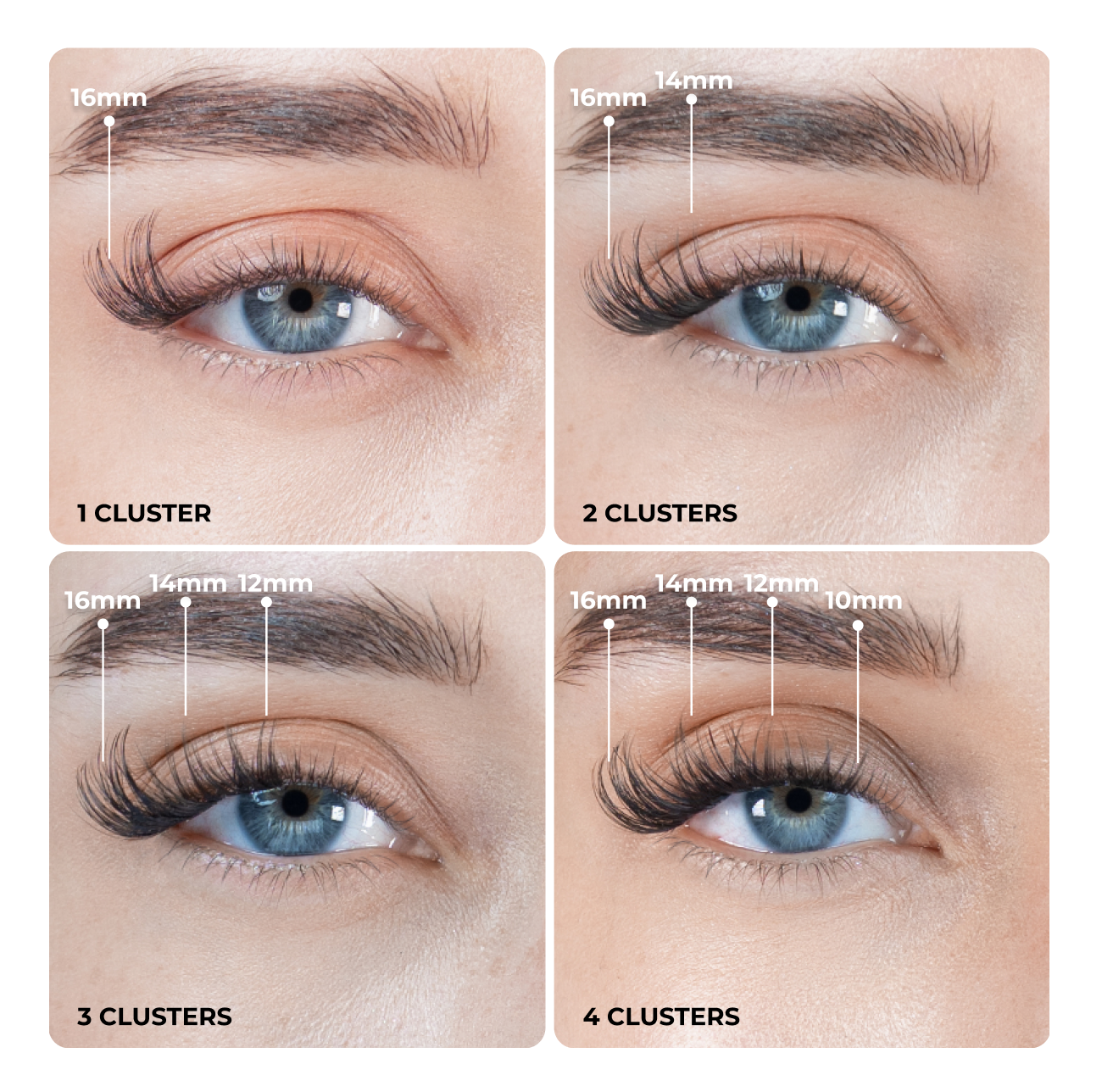 Close-up comparison showing lash cluster application with one, two, three, and four clusters, illustrating increasing lash length placement from 16mm to 10mm across the lash line.