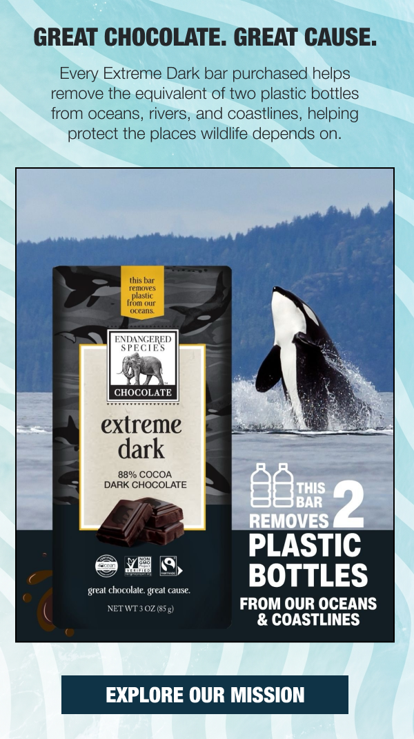 Great Chocolate. Great Cause.