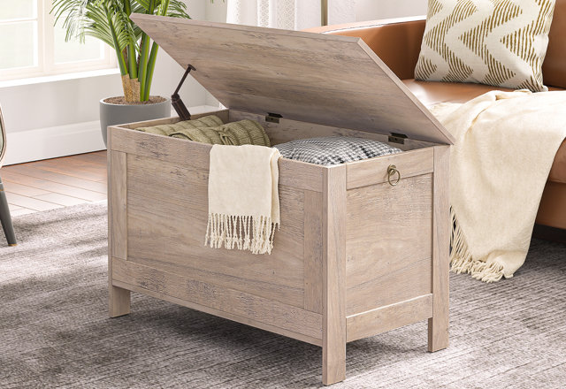 Accent Trunks Under $149