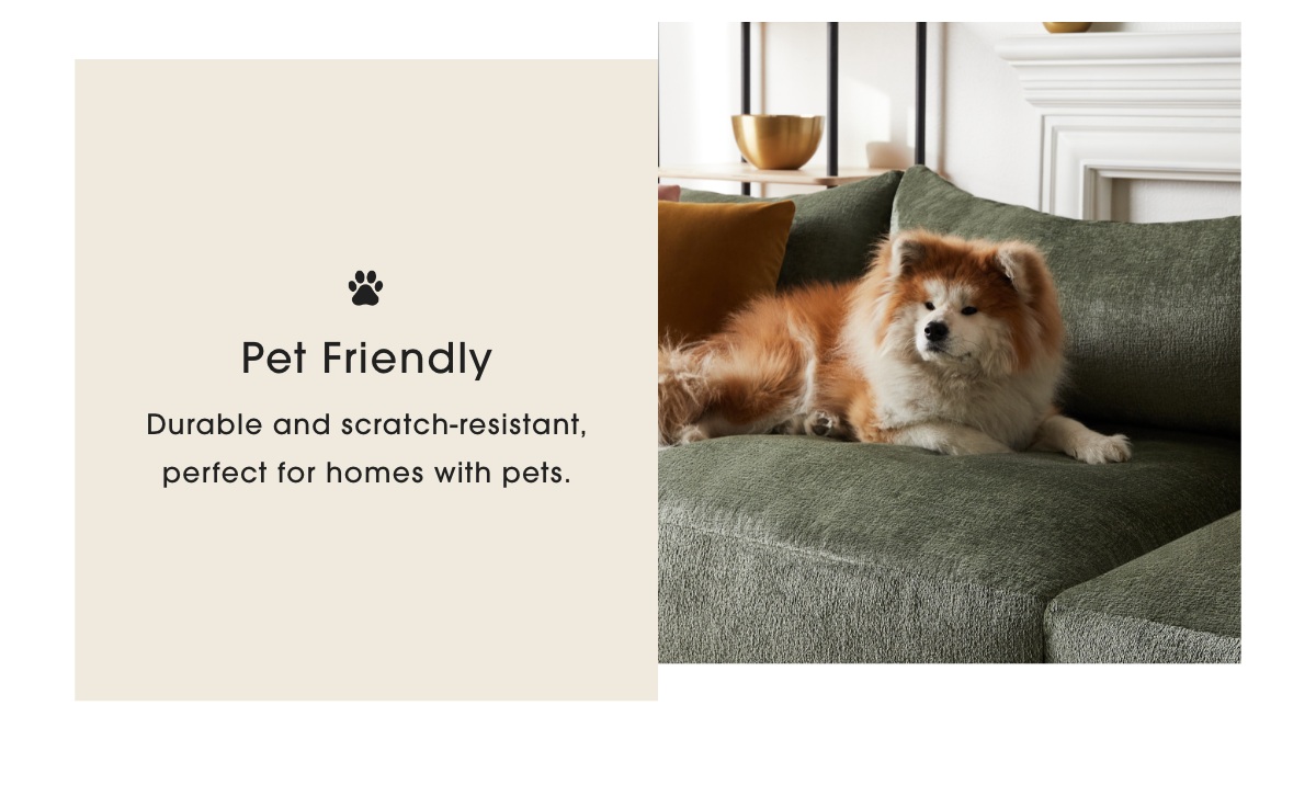 pet friendly