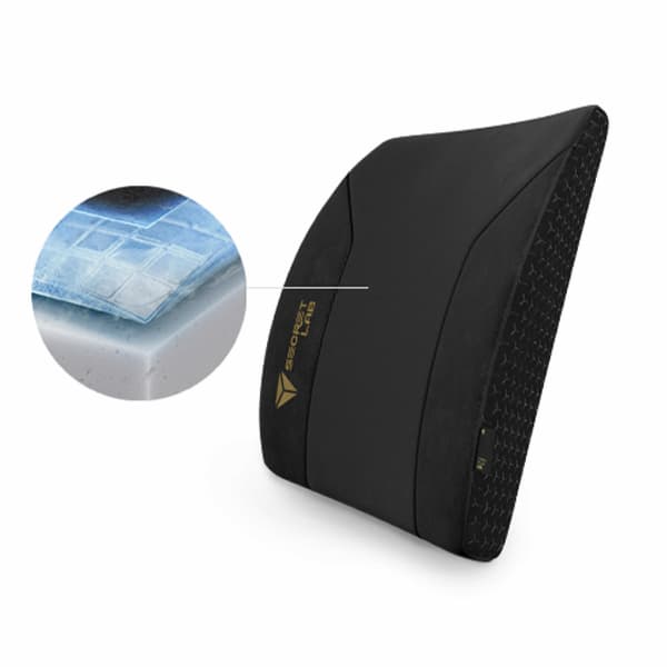Secretlab Lumbar Pillow Pro