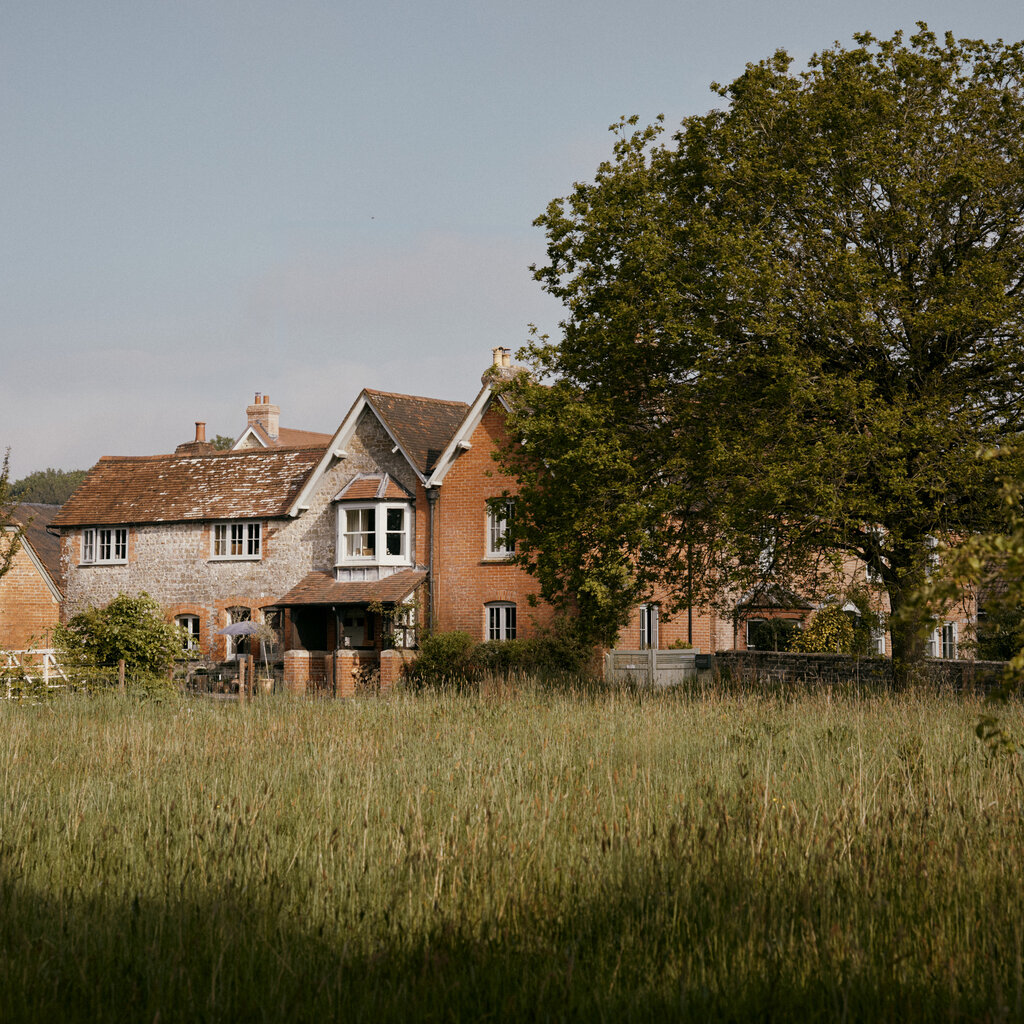 A brick house stands partially obscured by a tree.