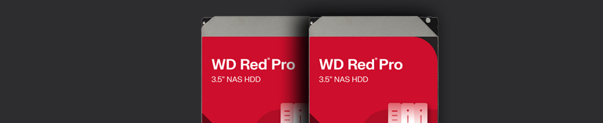 Two WD Red Pro 3.5" NAS HDDs.