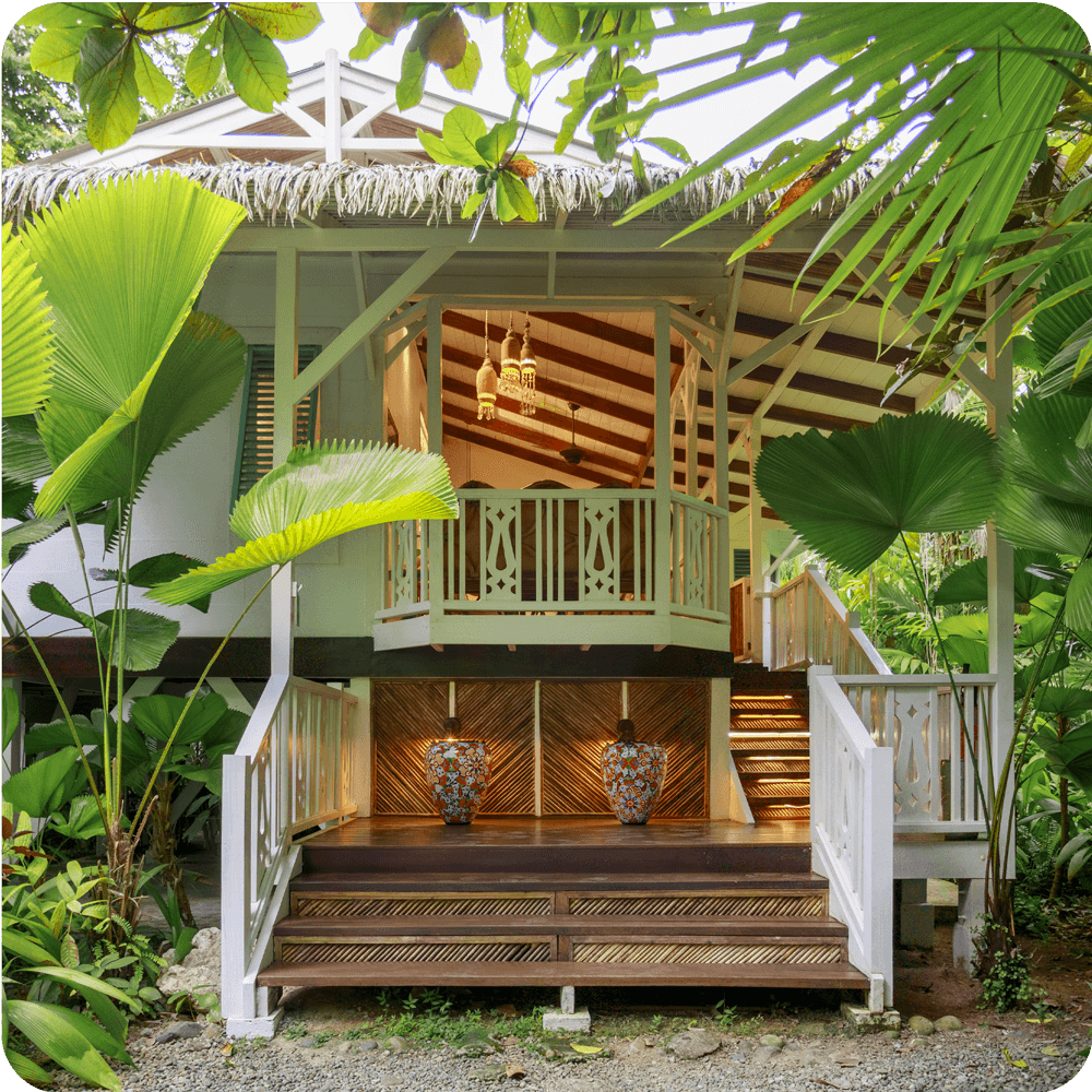 Coral Suite