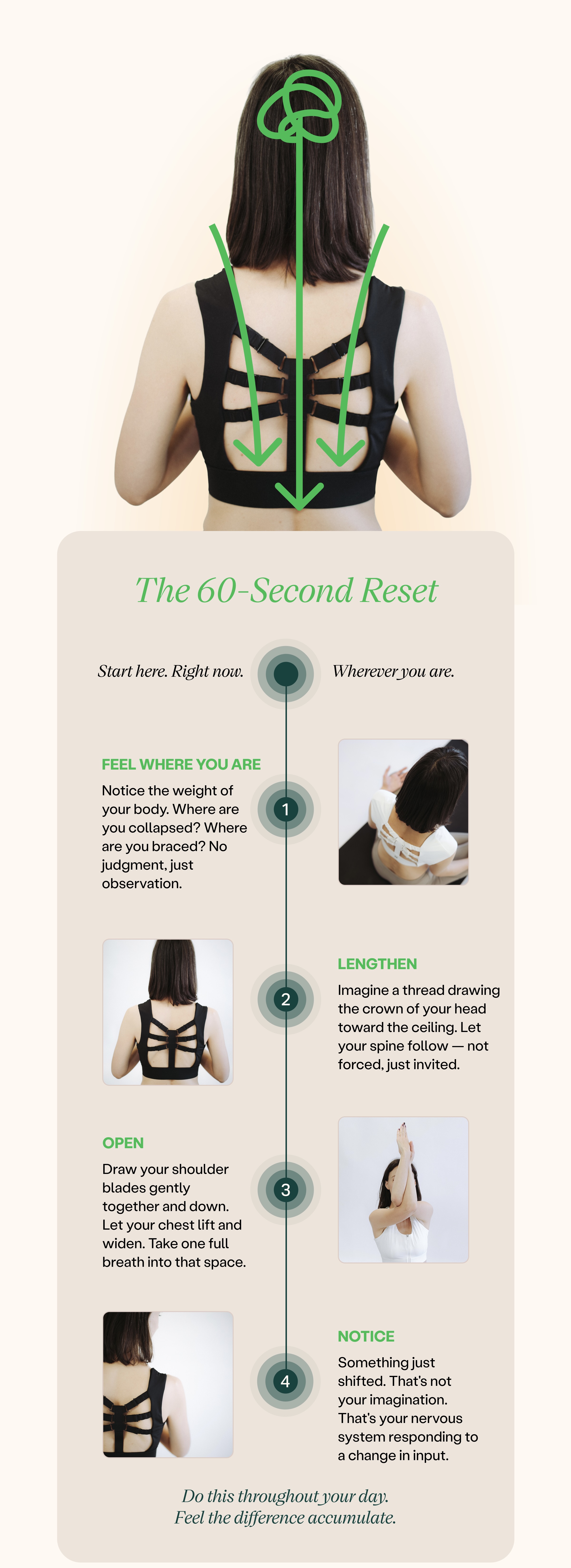 Shop Posture Support >