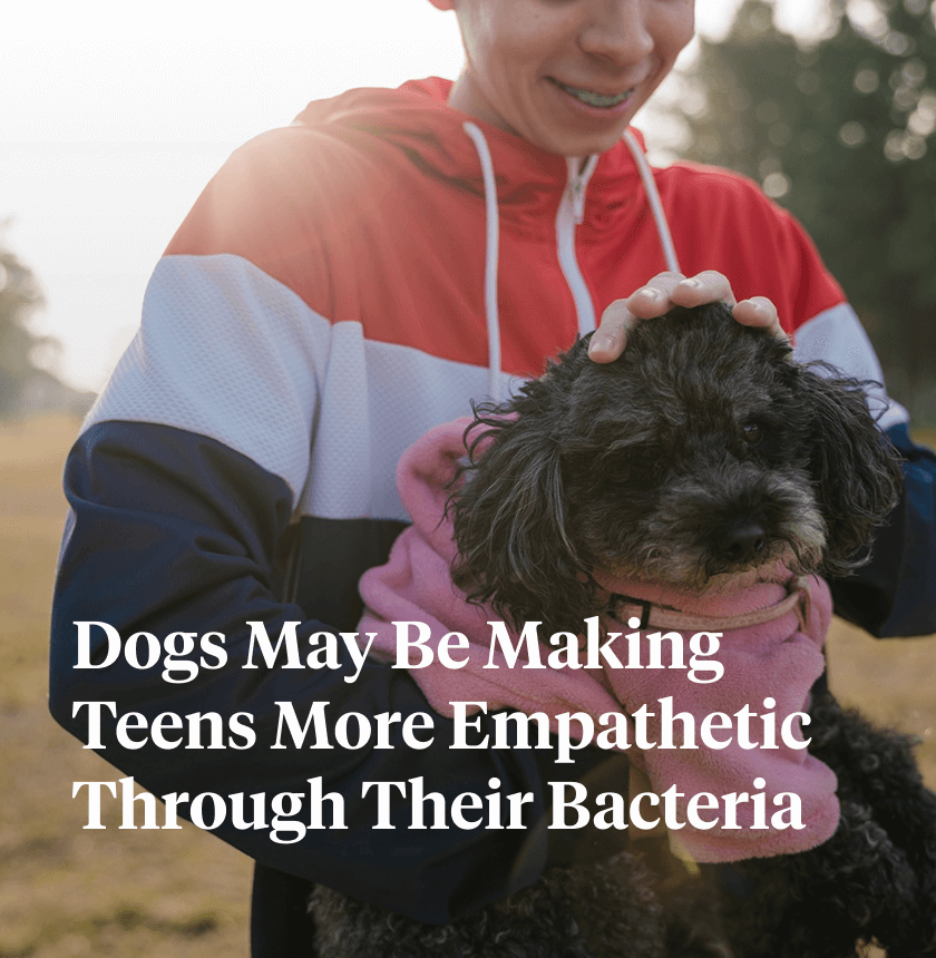 new-research-on-pet-dogs-and-teenager-mental-health
