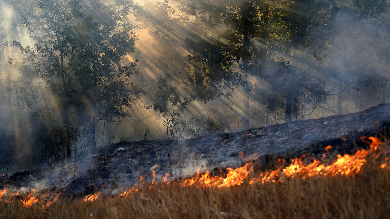 Sun rays pierce through smoke drifting among trees during a wildfire in Garano, northwestern Spain.