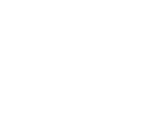 Cadillac logo.
