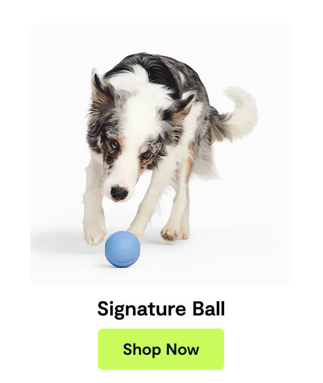 Signature Ball