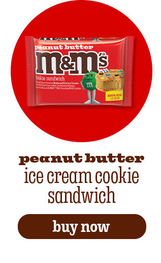 PEANUT BUTTER ICE CREAM COOKIE SANDWICH