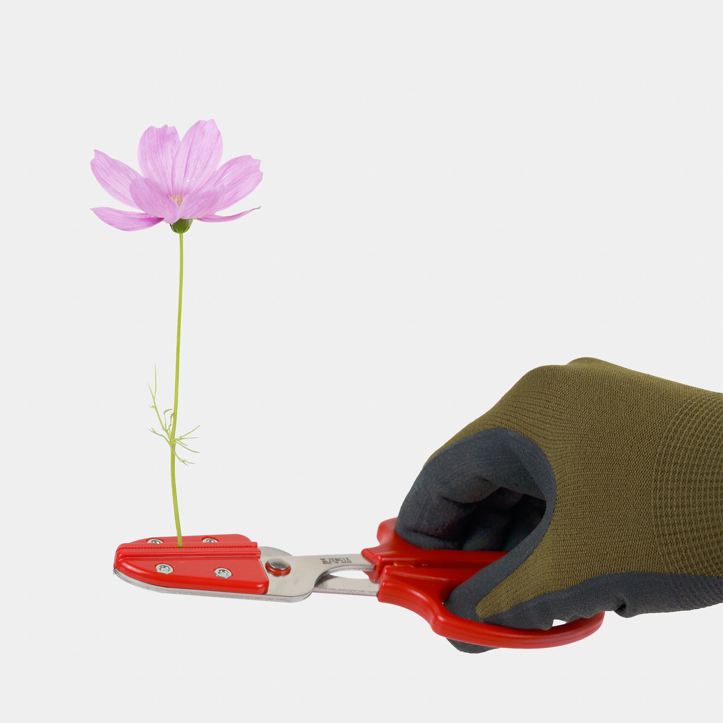 Image of Japanese Flower Stem-Holding Scissors