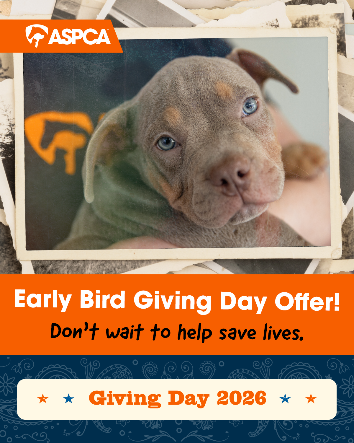 Early Bird Giving Day Offer!
