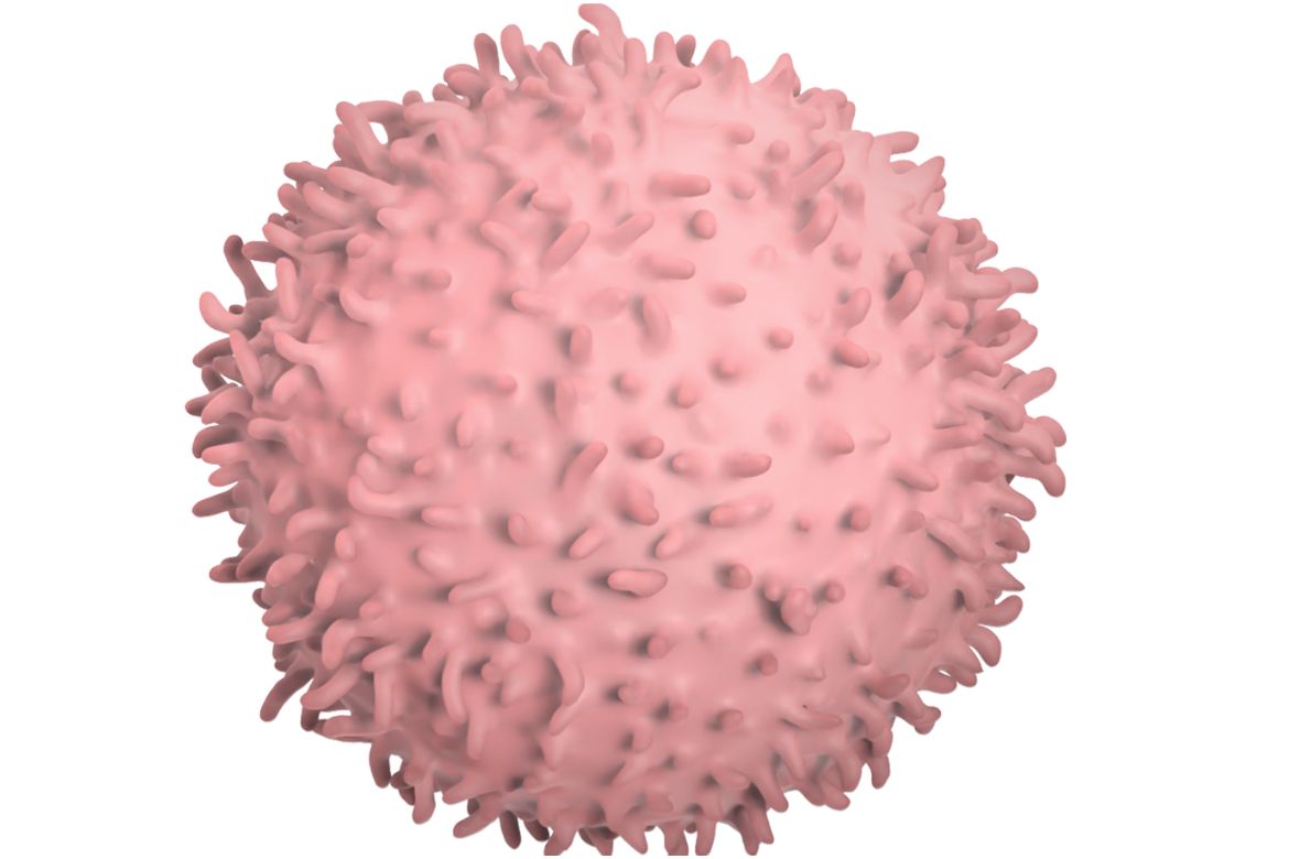 Pink rendering of a spherical immune cell with worm-like protrusions