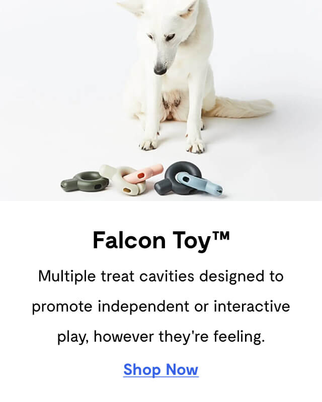 Falcon Toy™