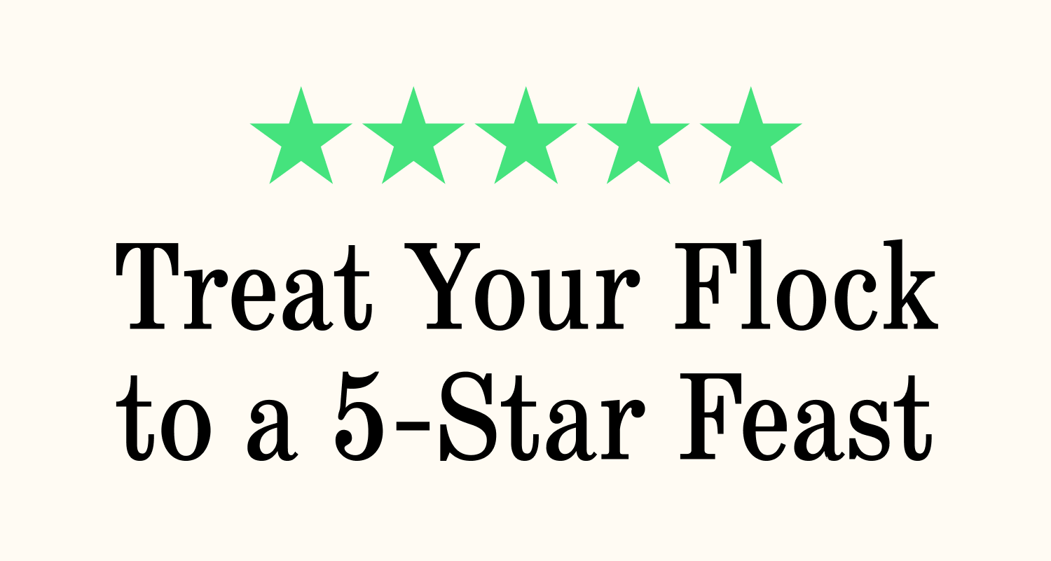 Treat Your Flock to a 5-Star Feast