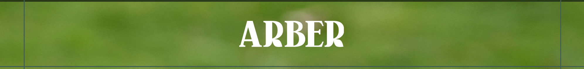 Arber