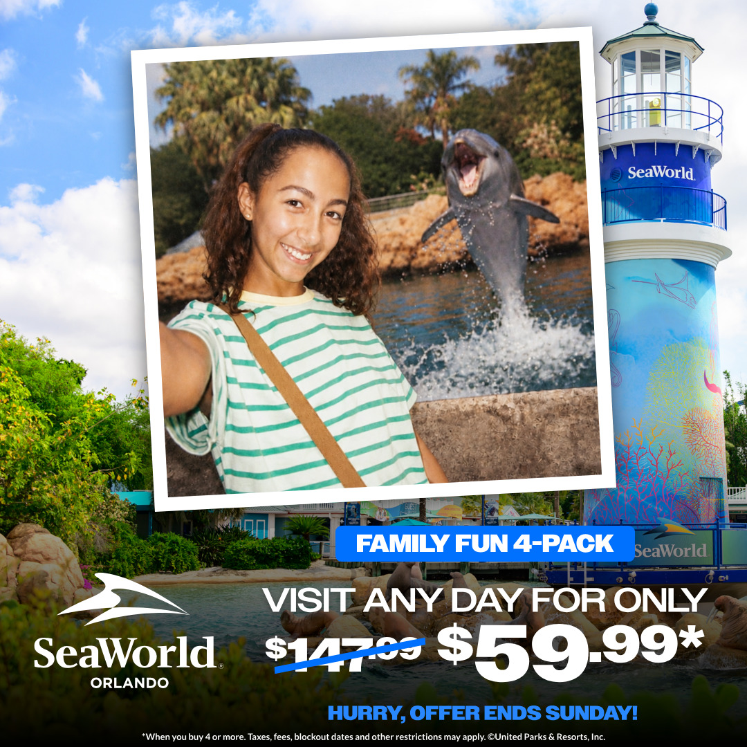 Plan Your Visit