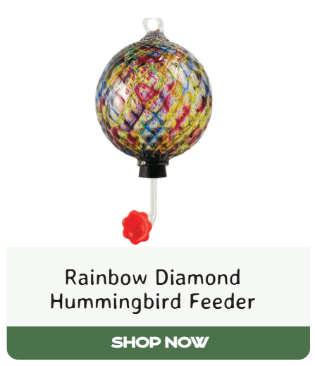 Rainbow Diamond Hummingbird Feeder