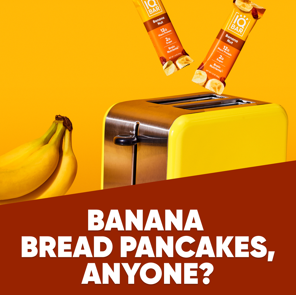 Meet the Banana Nut IQBAR