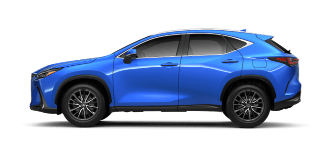 NX Hybrid
