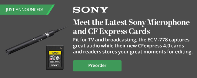 Mic & CF Express Cards