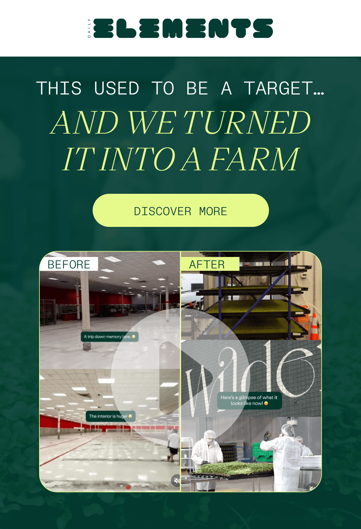 This Used to Be A Target... And We Turned It Into A Farm