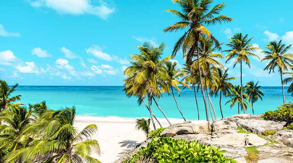 Time your cruise booking like a pro  and find the best times to save & book a cruise. 