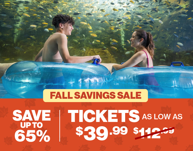 Plan your visit!