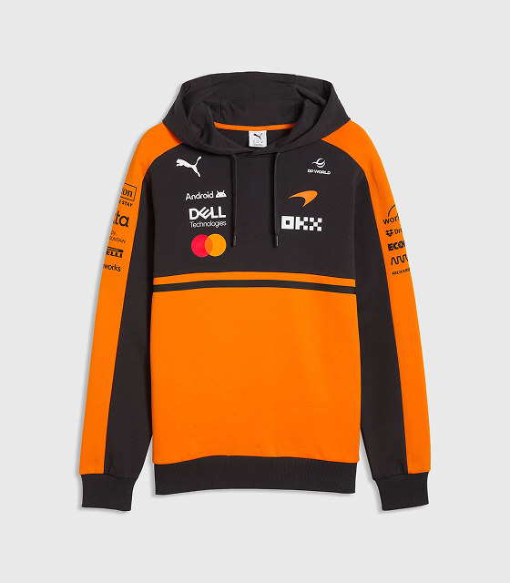 PUMA 2026 Team Hoodie