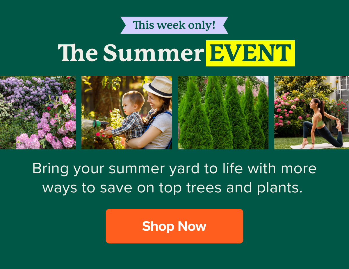 This week only! The Summer Event: Bring your summer yard to life with savings on everything your yard needs. SHOP NOW>>
