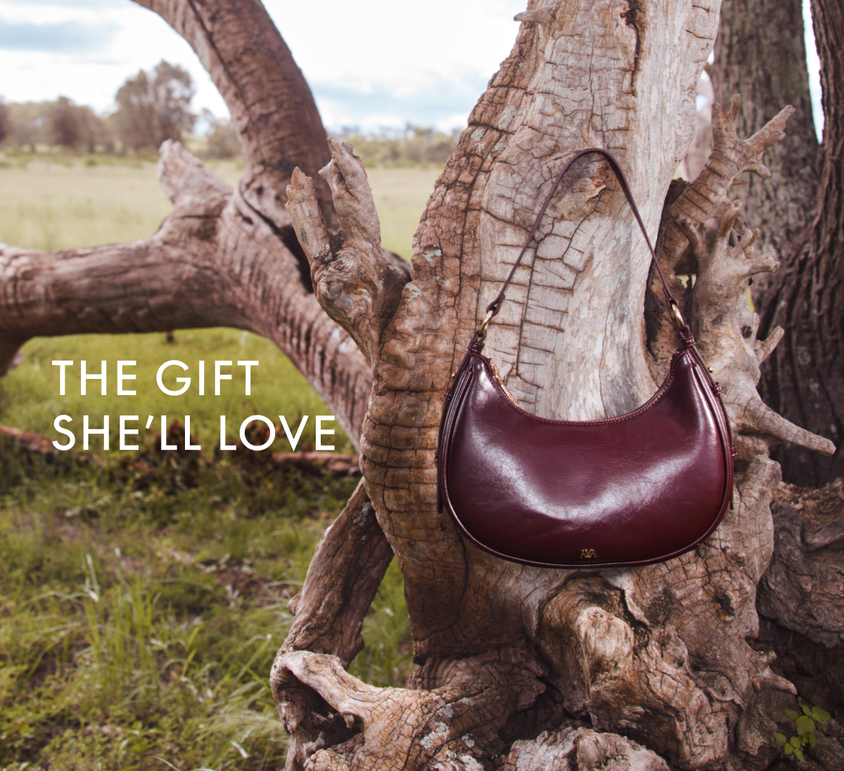 Find the perfect gift