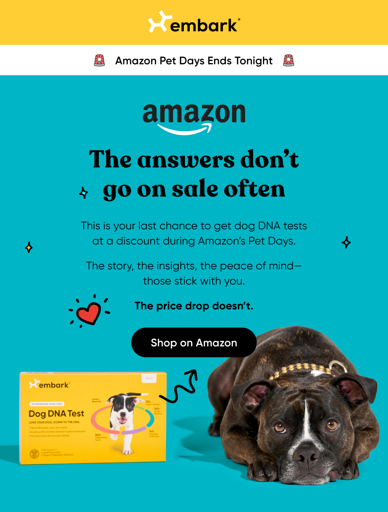 Amazon Pet Days Ends Tonight! The answers don't go on sale often. This is your last chance to get dog DNA tests at a discount during Amazon Pet Days. Te story, the insights, the peace of mind_those stick with you. The price drop doesn't. Shop on Amazon.