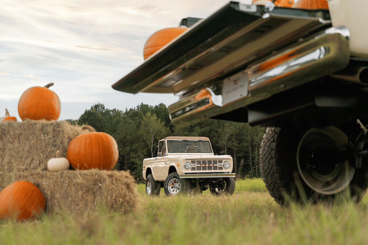 fall-shoot-360