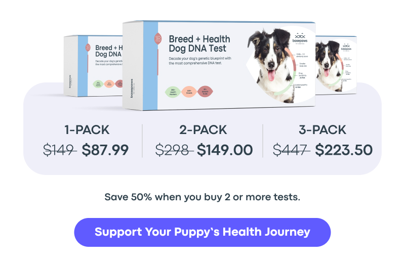 Support Your Puppy's Health Journey