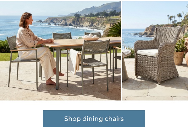Shop dining chairs
