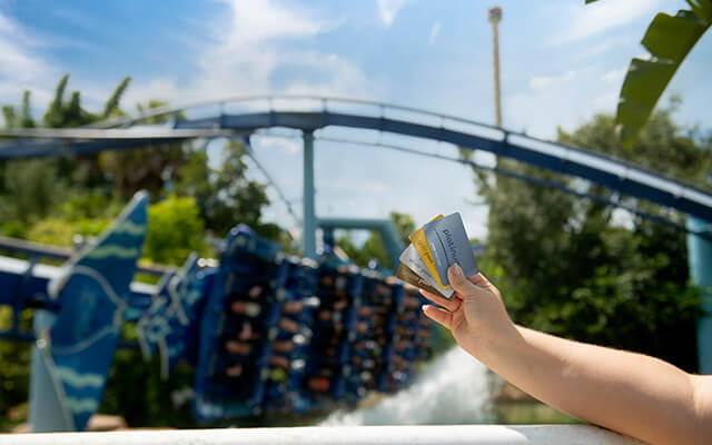 Plan your visit!