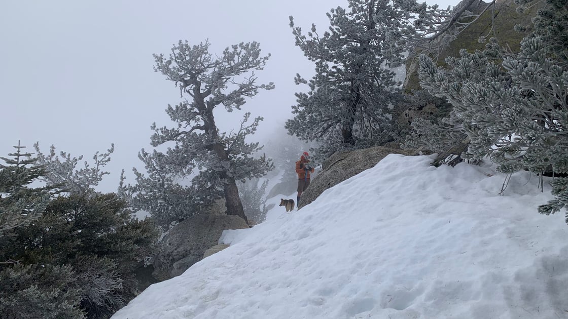 hikers-in-snow