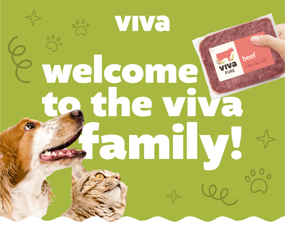 VIVA Welcome to the Viva family!
